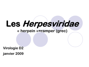 Les Herpesviridae