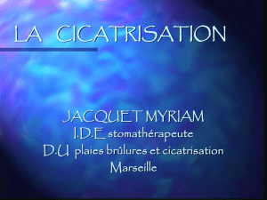 la cicatrisation - IFSI Salon 2007-2010