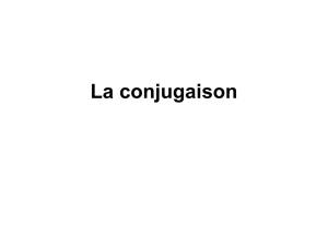 La conjugaison