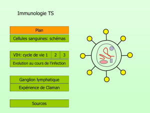Immunologie - Ombre sur petit