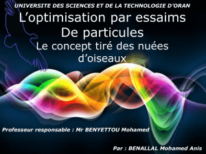 Optimisation Par Essaims de Particule