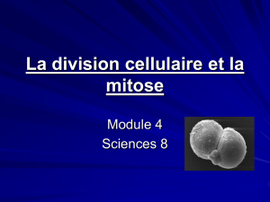 La division cellulaire et la mitose