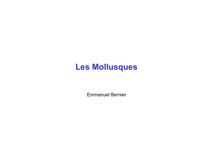 Les Mollusques - Emmanuel Bernier