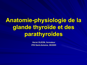 Anatomie-physiologie de la glande thyroïde
