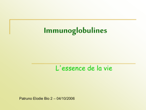 Immunoglobulines - Site perso mcavalla