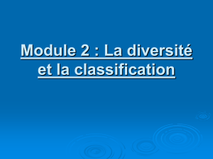 Module 2 : La diversité et la classification