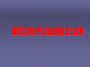 evolution phylogenique de l`atm