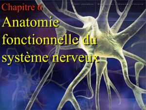 Aucun titre de diapositive