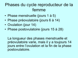 Phase menstruelle (jours 1 à 5)