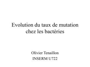 Evolution du taux de mutation chez les bactéries