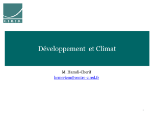 Développement et politiques climatiques