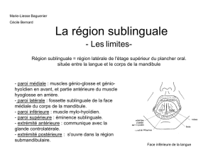 La région sublinguale