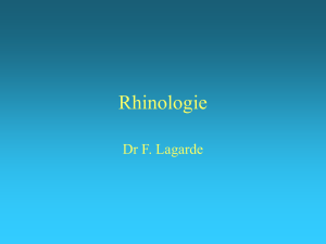Rhinologie