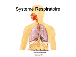 Systeme Respiratoire