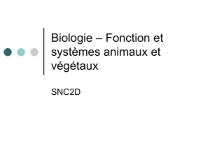 A1. La structure des cellules - Biologie