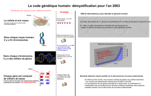Le code génétique humain