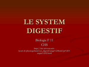 le system digestif - hrsbstaff.ednet.ns.ca