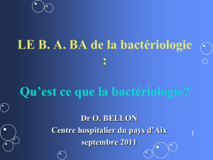 BA_ba_run_1_2011_bac..