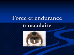 Force et endurance musculaire