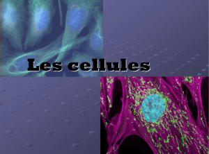 Le cellules