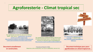 Agroforesterie_Climat-tropical-sec