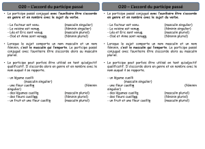 O20 – L`accord du participe passé