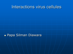 Les differentes interactions virus cellules