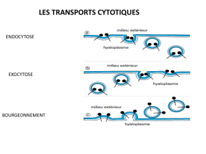 Transports cytotiques