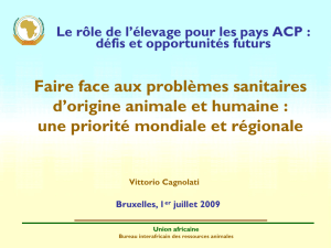 Union africaine - Briefings de Bruxelles sur le Développement