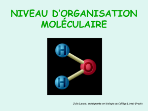 Niveaux d`organisation moléculaire et cellulaire