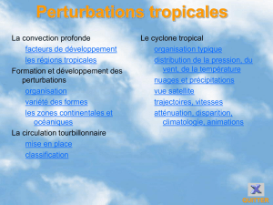 perturbations tropicales
