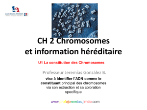 CH 2 Chromosomes et information héréditaire