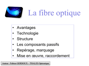 Technologie de la fibre optique
