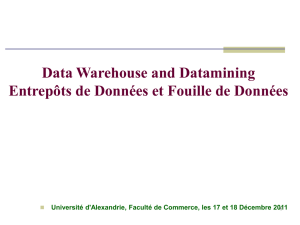 un Data Warehouse