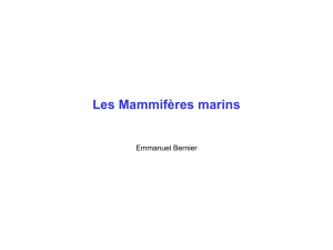 Les Mammifères marins - Emmanuel Bernier