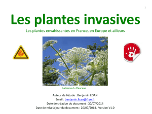 Les plantes invasives - Documents pour le développement durable