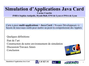 Simulation d `Application Java Card