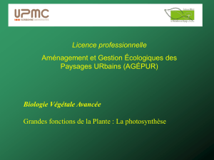 COURS LP agepur photosynthese 2014