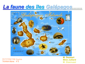 pinsons des Galápagos - Collège Clos de Pouilly