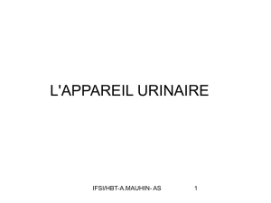le-systeme-urinaire-2014