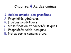 Acides aminés des protéines