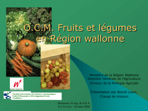 Les Organisations Professionnelles dans le secteur des fruits et