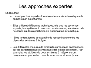 Les approches expertes