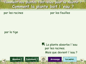 La vie de nos plantes