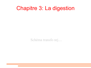 Chapitre 3: La digestion - blog svt collège Jean Zay Fache