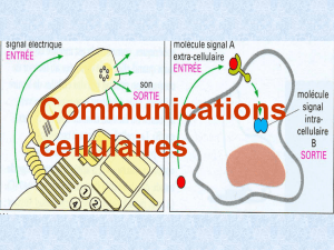 Communications cellulaires
