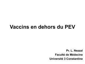 Vaccins en dehors du PEV