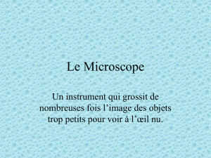 Microscope Électronique