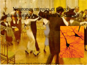 Neurones miroirs et tango