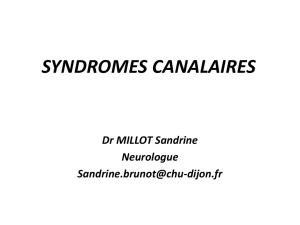 Les syndromes canalaires = DR Millot Sandrine